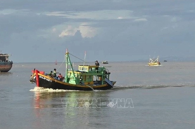 Binh Thuan launches intensive campaign to combat IUU fishing