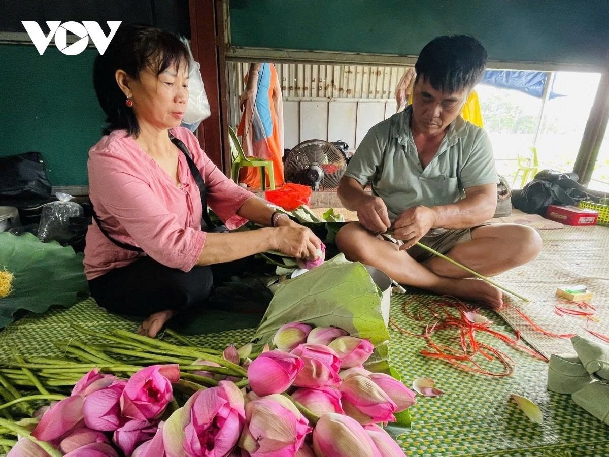 west lake lotus - the pure beauty in the heart of hanoi picture 12 west lake lotus - the pure beauty in the heart of hanoi picture 12