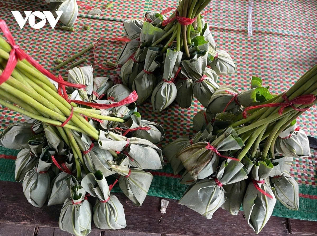 west lake lotus - the pure beauty in the heart of hanoi picture 14 west lake lotus - the pure beauty in the heart of hanoi picture 14