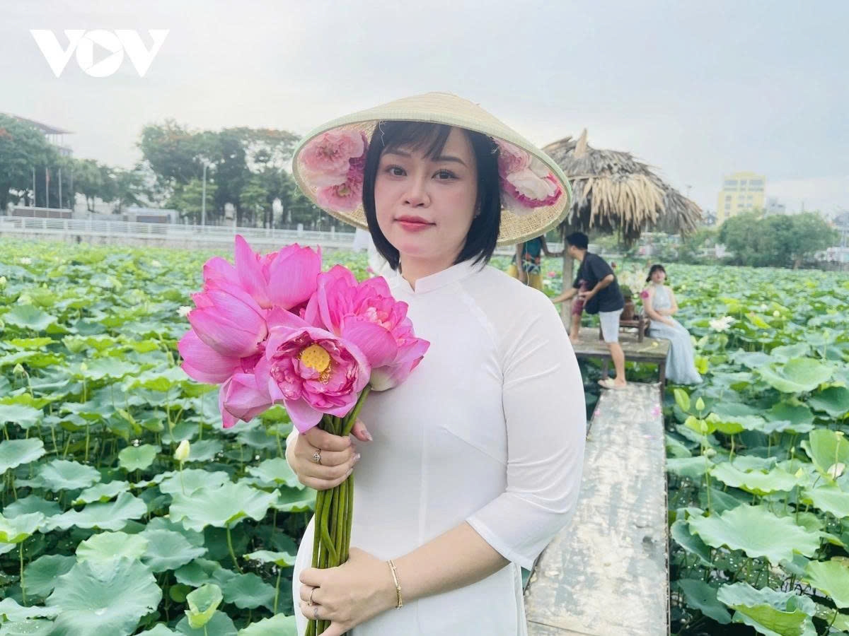 west lake lotus - the pure beauty in the heart of hanoi picture 9 west lake lotus - the pure beauty in the heart of hanoi picture 9