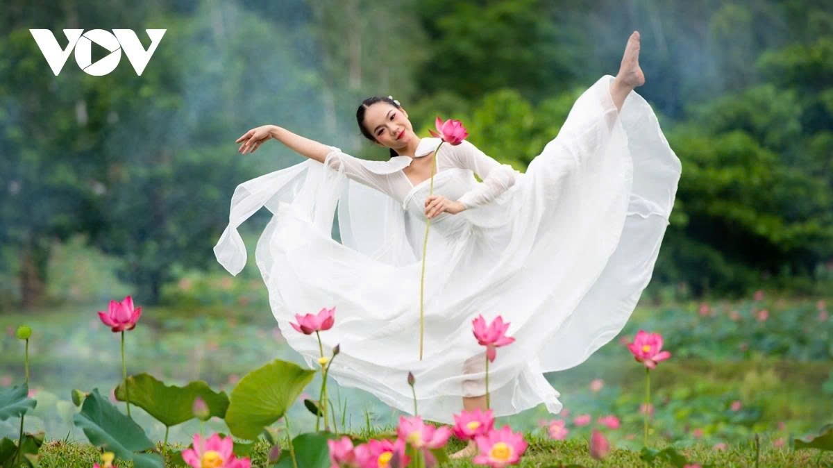 tra ly lotus pond a hidden gem in quang nam picture 9