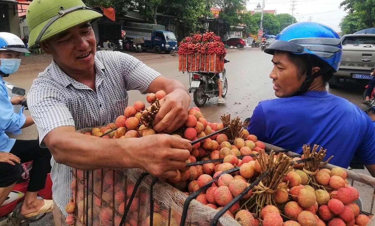 unlocking consumer markets for agricultural exports during peak season picture 1 unlocking consumer markets for agricultural exports during peak season picture 1
