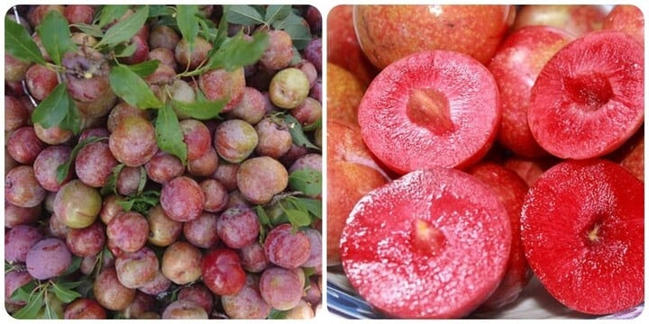 5 nhóm người nên hạn chế ăn quả mận