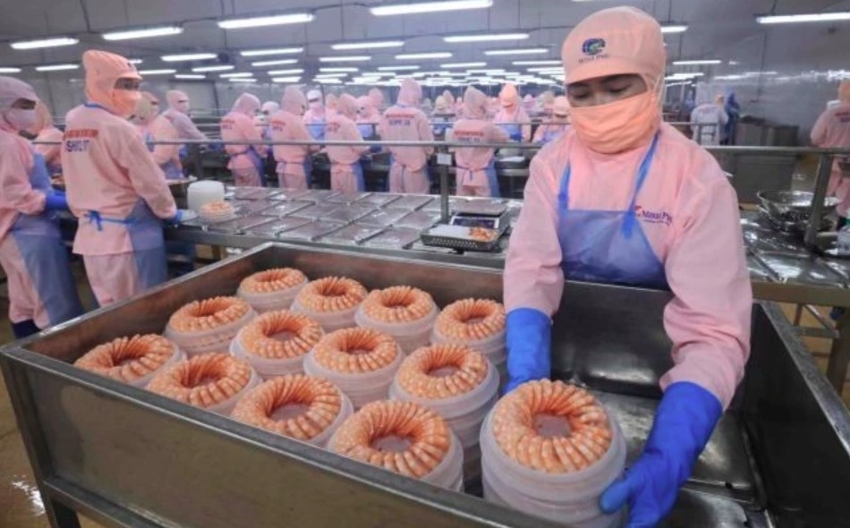 vietnam s gdp forecast lowered amid global policy uncertainty picture 1