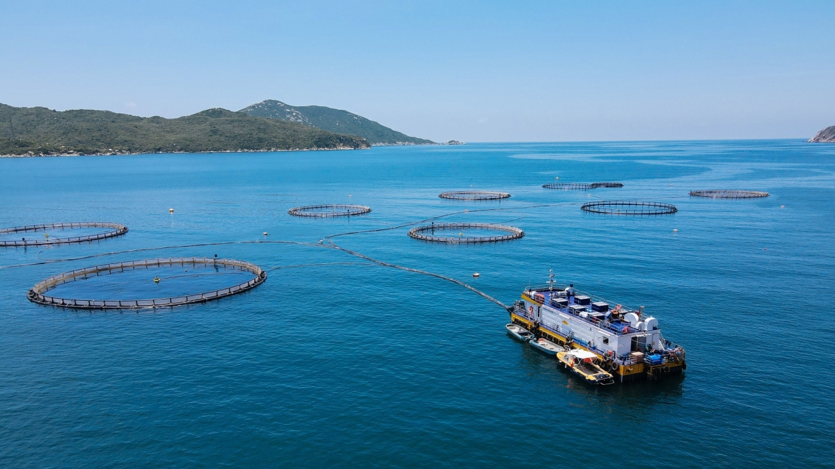 kinh tế biển khánh hòa chuyển biến từ hệ sinh thái đến công nghệ hình ảnh 4 kinh te bien khanh hoa chuyen bien tu he sinh thai den cong nghe hinh anh 4