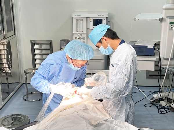 dịch vụ cấy ghép implant tại nha khoa Đăng lưu hình ảnh 1 dich vu cay ghep implant tai nha khoa Dang luu hinh anh 1