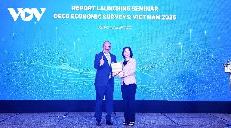 oecd outlines reform roadmap in 2025 vietnam economic survey picture 2 oecd outlines reform roadmap in 2025 vietnam economic survey picture 2
