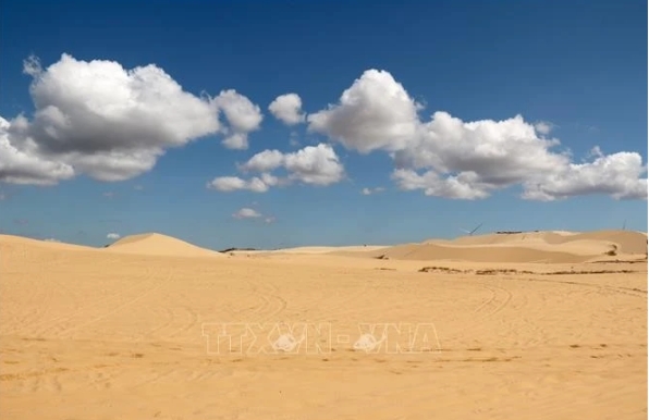 awakening binh thuan s tourism potential through cinema picture 1 awakening binh thuan s tourism potential through cinema picture 1