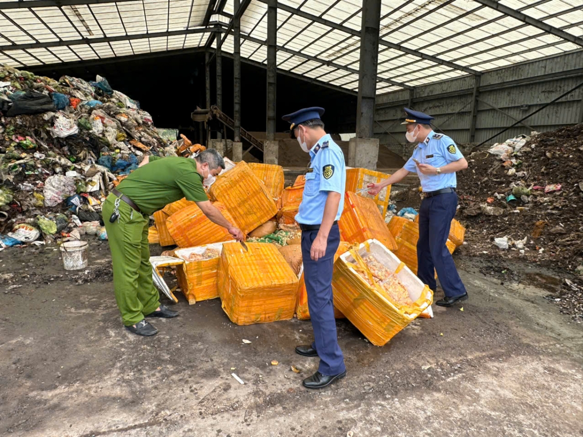 Phát hiện số lượng lớn trứng gà non, chân gà không nguồn gốc ở Quảng Ninh