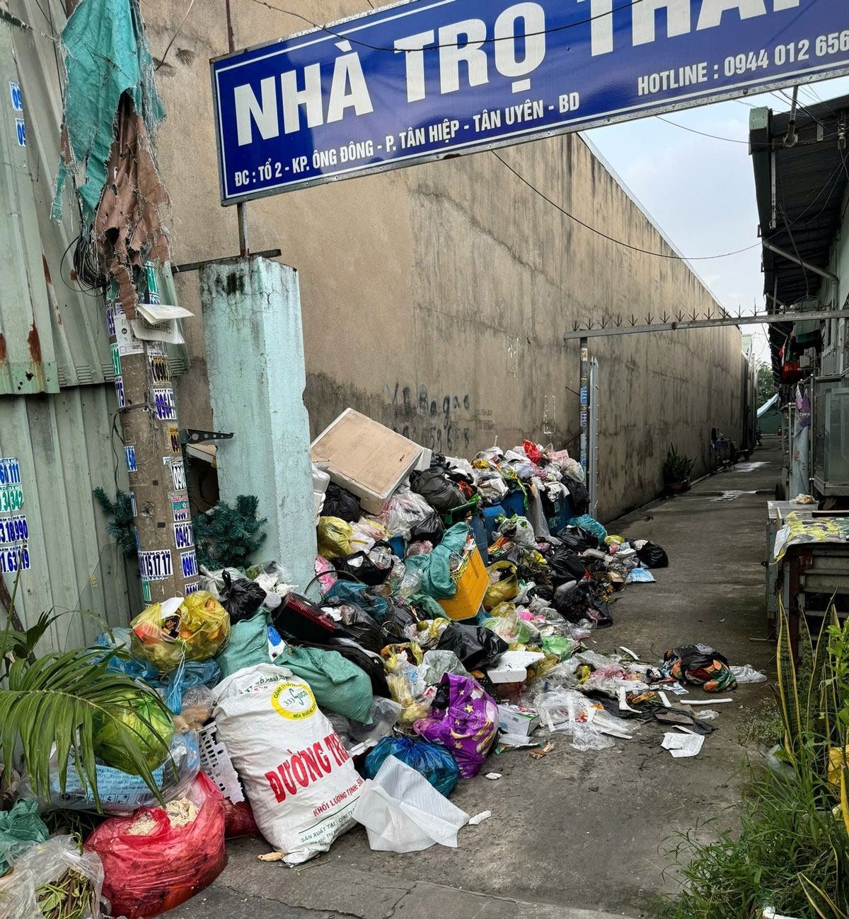 rác thải chất đống ở bình dương do chuyển đơn vị thu gom sau sáp nhập phường hình ảnh 3 rac thai chat dong o binh duong do chuyen don vi thu gom sau sap nhap phuong hinh anh 3
