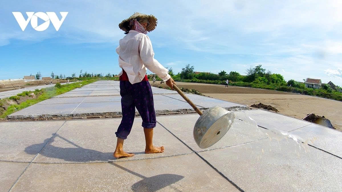 earning their salt the grueling life of salt makers in nam dinh picture 7 earning their salt the grueling life of salt makers in nam dinh picture 7
