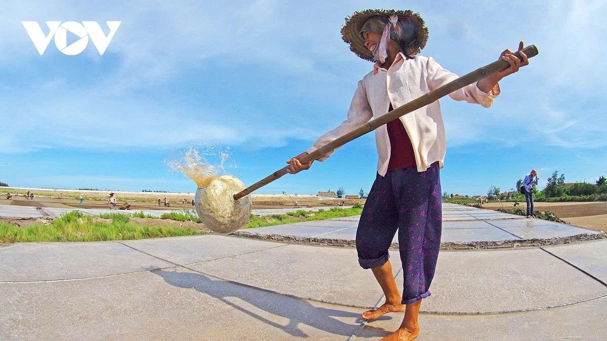 earning their salt the grueling life of salt makers in nam dinh picture 8 earning their salt the grueling life of salt makers in nam dinh picture 8