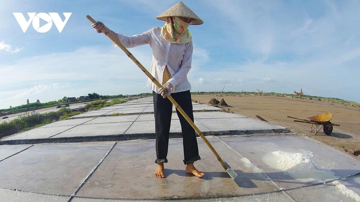 earning their salt the grueling life of salt makers in nam dinh picture 9 earning their salt the grueling life of salt makers in nam dinh picture 9
