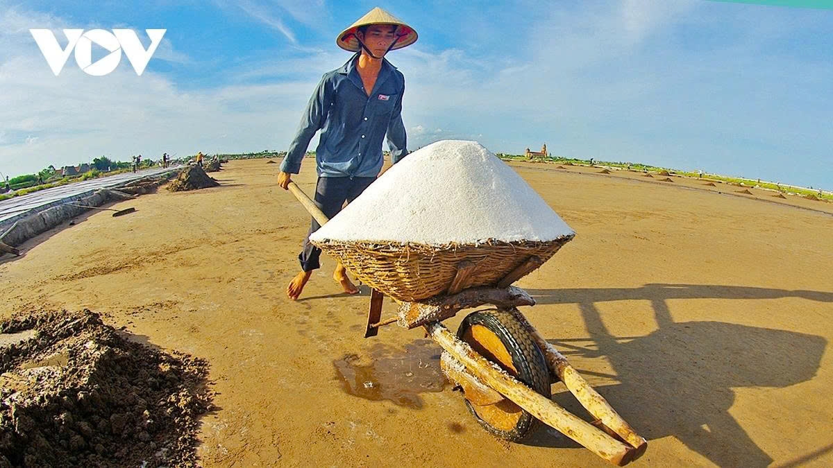 earning their salt the grueling life of salt makers in nam dinh picture 12 earning their salt the grueling life of salt makers in nam dinh picture 12