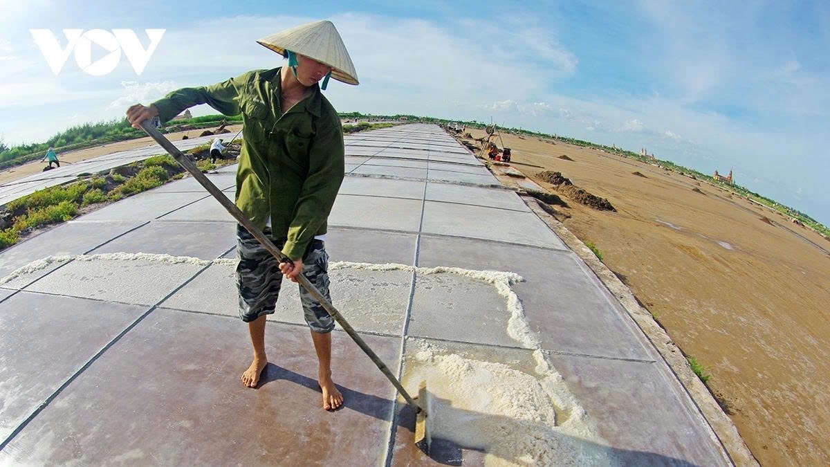 earning their salt the grueling life of salt makers in nam dinh picture 2 earning their salt the grueling life of salt makers in nam dinh picture 2