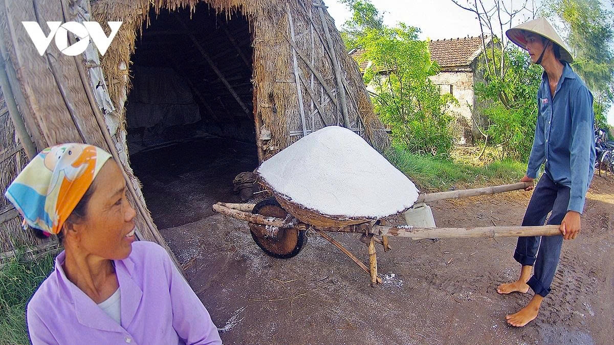 earning their salt the grueling life of salt makers in nam dinh picture 14 earning their salt the grueling life of salt makers in nam dinh picture 14