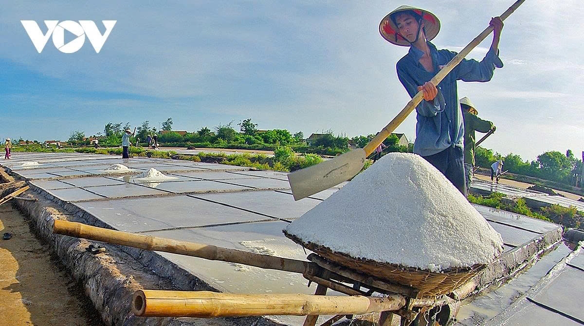 earning their salt the grueling life of salt makers in nam dinh picture 3 earning their salt the grueling life of salt makers in nam dinh picture 3