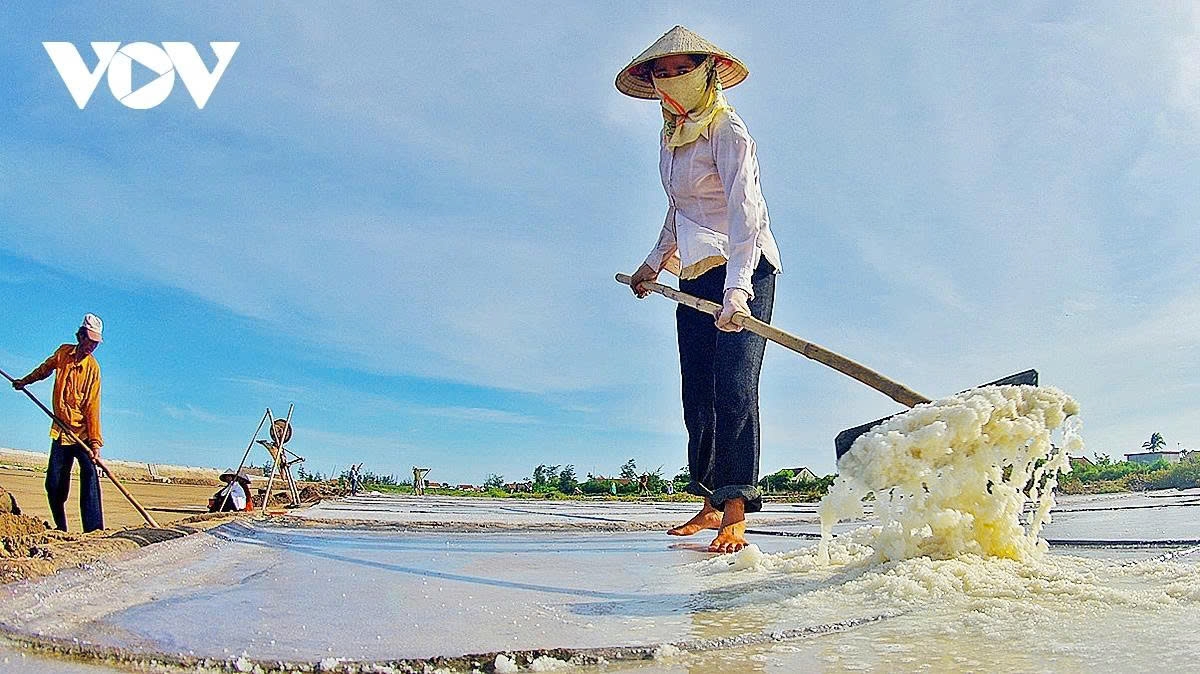 earning their salt the grueling life of salt makers in nam dinh picture 4 earning their salt the grueling life of salt makers in nam dinh picture 4