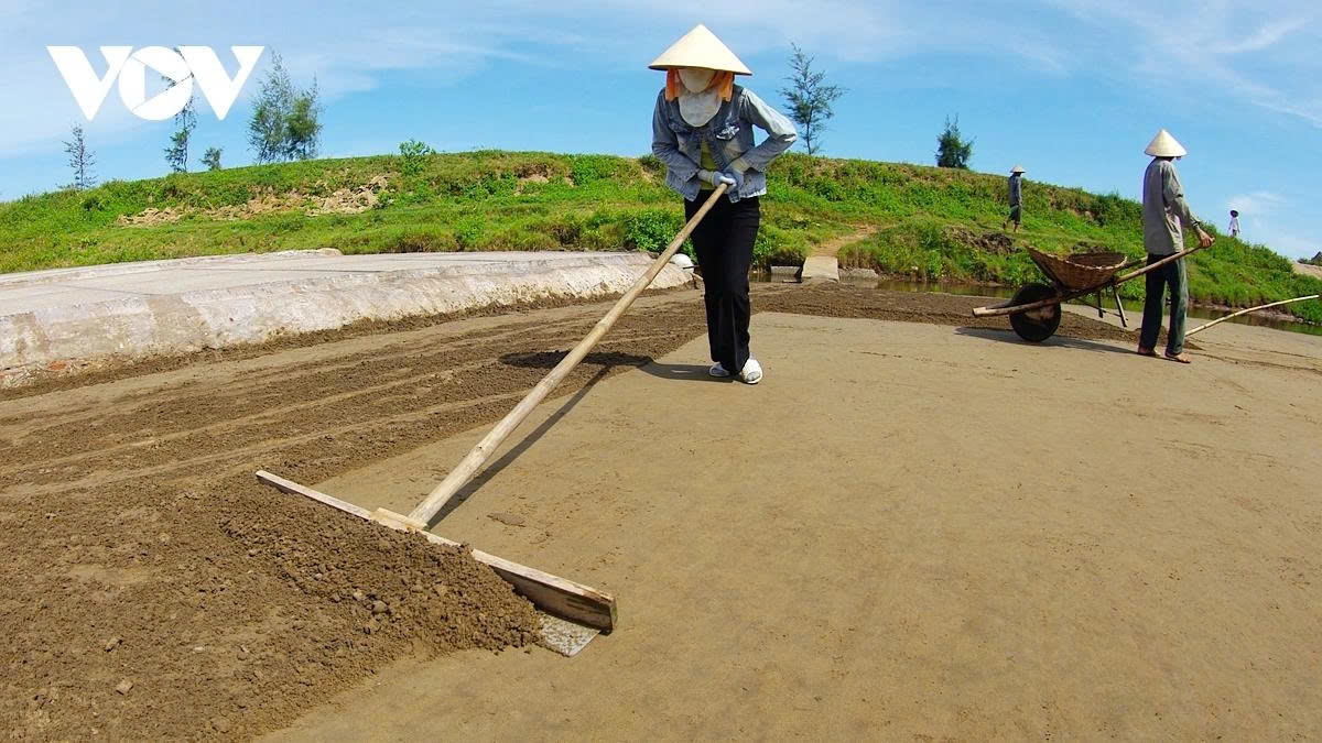 earning their salt the grueling life of salt makers in nam dinh picture 5 earning their salt the grueling life of salt makers in nam dinh picture 5
