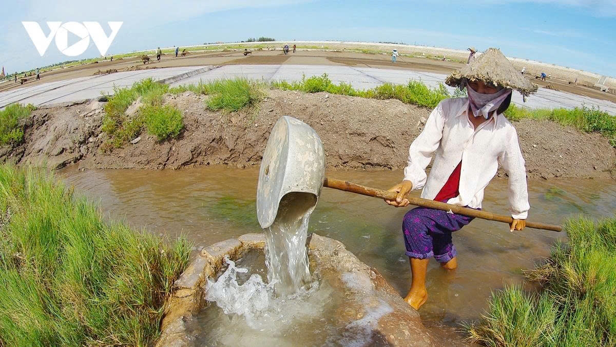 earning their salt the grueling life of salt makers in nam dinh picture 6 earning their salt the grueling life of salt makers in nam dinh picture 6