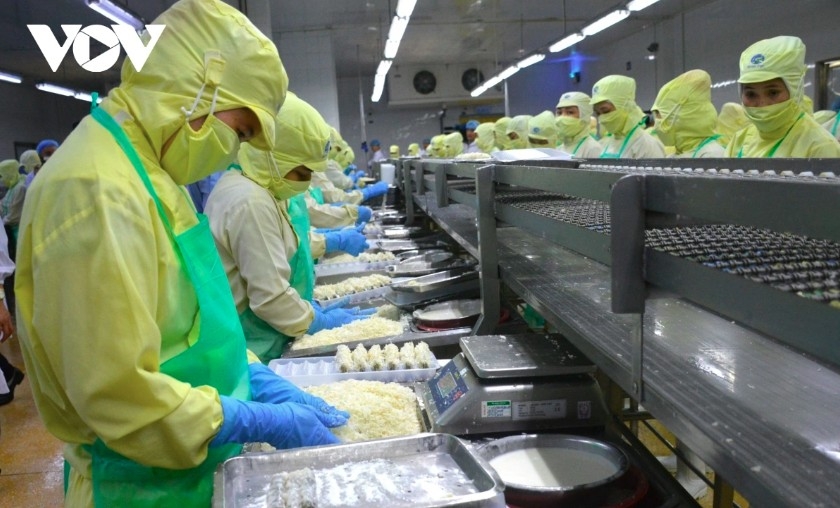 three scenarios for vietnamese seafood exports under us reciprocal tariffs picture 1 three scenarios for vietnamese seafood exports under us reciprocal tariffs picture 1