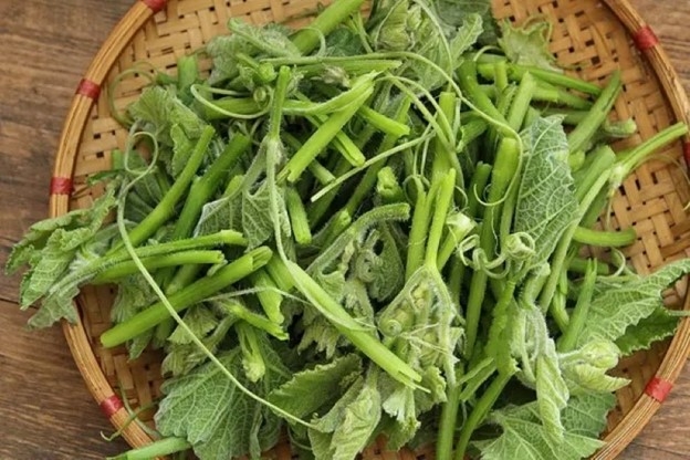 loại rau bổ dưỡng chẳng kém nhân sâm , cực sẵn ở chợ giá chỉ vài nghìn một bó hình ảnh 1 loai rau bo duong chang kem nhan sam , cuc san o cho gia chi vai nghin mot bo hinh anh 1