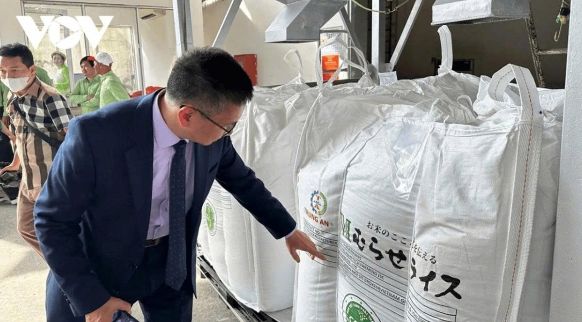 vietnam transforms rice industry as its low-emission rice gains global traction picture 1 vietnam transforms rice industry as its low-emission rice gains global traction picture 1