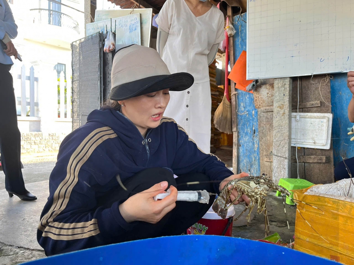 phát hiện cơ sở bơm tạp chất vào tôm hùm chết để bán ra thị trường hình ảnh 1 phat hien co so bom tap chat vao tom hum chet de ban ra thi truong hinh anh 1