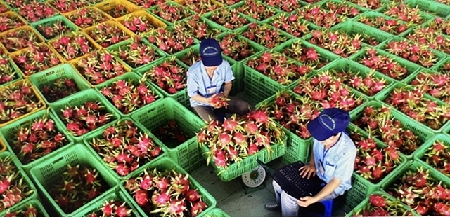 global uncertainty weighs on vietnam s economic outlook picture 1 global uncertainty weighs on vietnam s economic outlook picture 1
