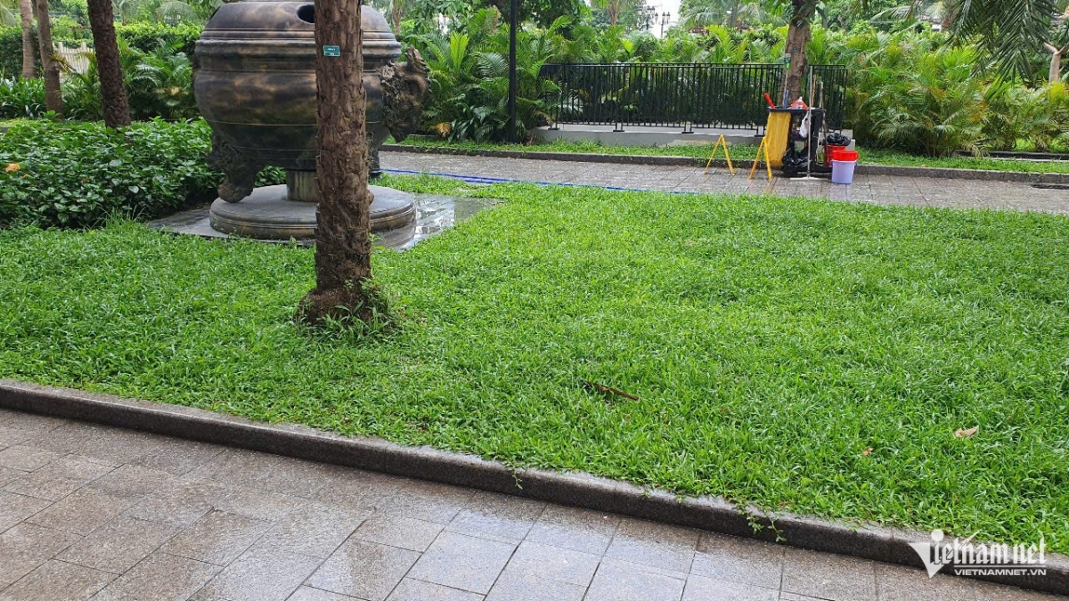 bi kịch của nam thanh niên rơi từ tầng 39 chung cư cao cấp ở hà nội hình ảnh 1 bi kich cua nam thanh nien roi tu tang 39 chung cu cao cap o ha noi hinh anh 1