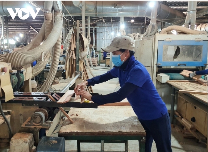 spain leads growth in vietnam s wood exports over five months picture 1