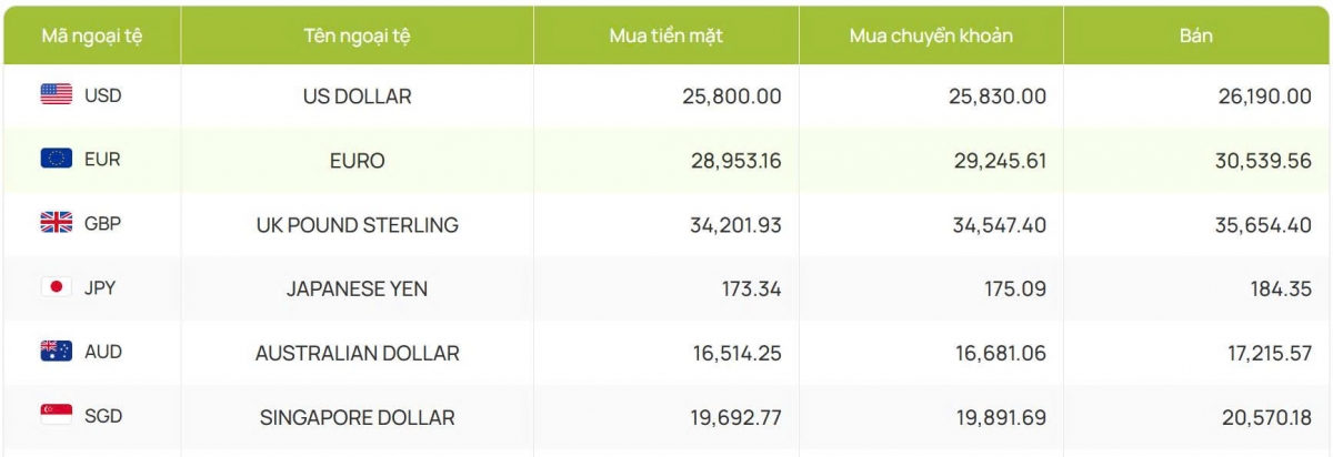 ty gia usd hom nay 11 6 ty gia trung tam giu nguyen muc 24.985 vnd usd hinh anh 1