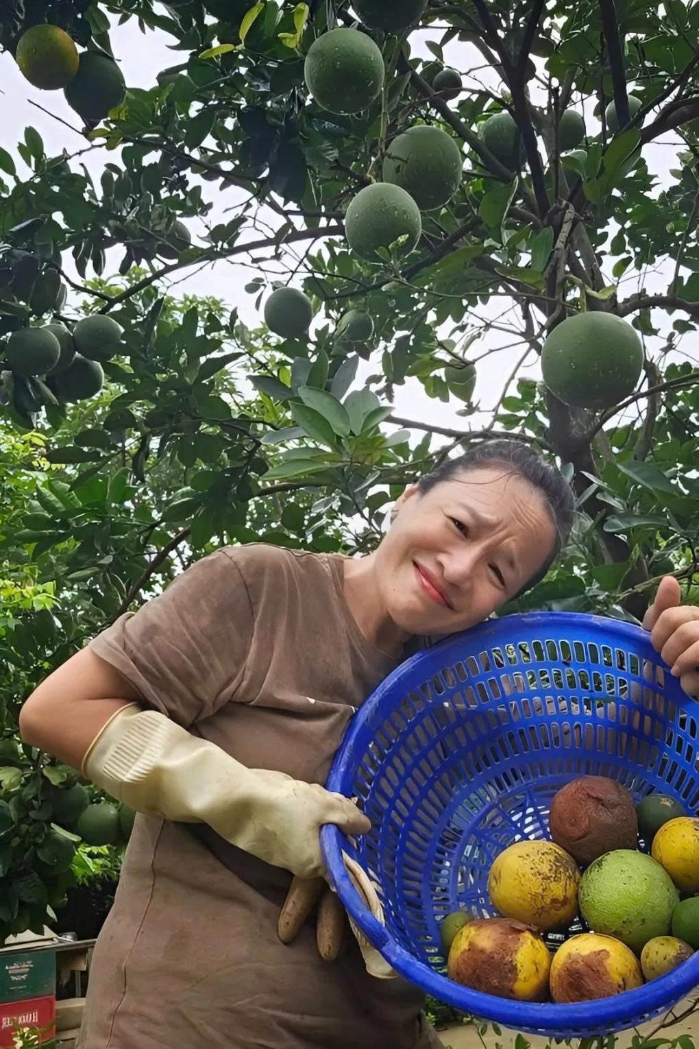 sao việt 19 6 ngoại hình khác lạ của xoài non hình ảnh 3 sao viet 19 6 ngoai hinh khac la cua xoai non hinh anh 3