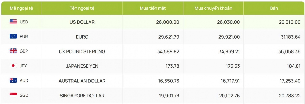 ty gia usd hom nay 24 6 ty gia trung tam bat tang len 25.058 dong usd hinh anh 2