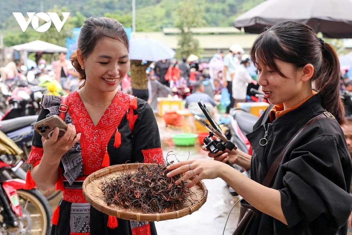 e-commerce bridges the gap as highland markets go digital picture 12
