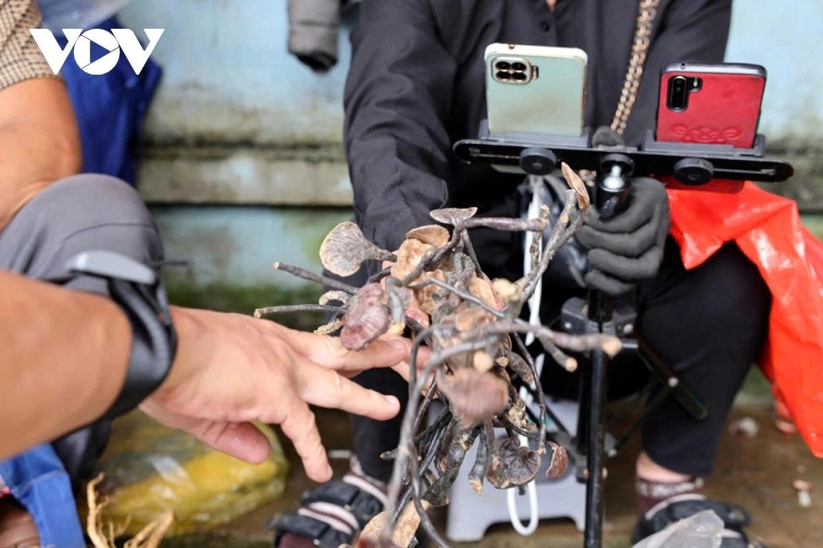 e-commerce bridges the gap as highland markets go digital picture 13
