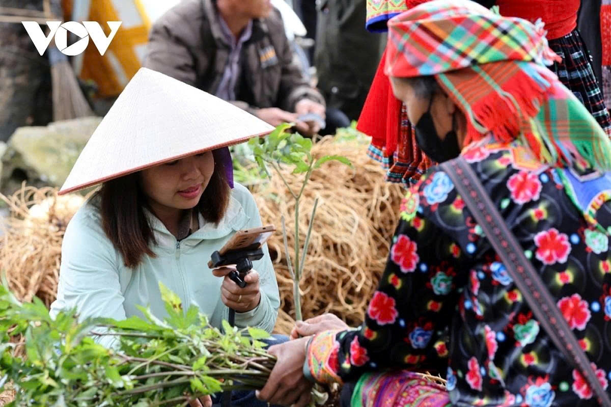 e-commerce bridges the gap as highland markets go digital picture 15