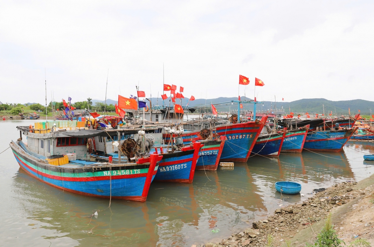 to nghe ca - diem tua vung chac cho ngu dan vuon khoi bam bien hinh anh 1