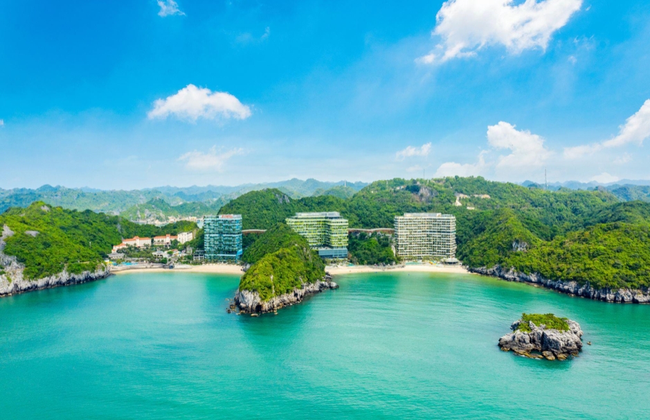 co hoi cuoi cung de so huu vien ngoc dau tu sinh loi 4 mua sang gia nhat cat ba hinh anh 1