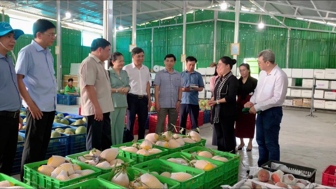 chuyen doi so giup nong san mien nui khanh hoa tiep can nhanh thi truong hinh anh 5