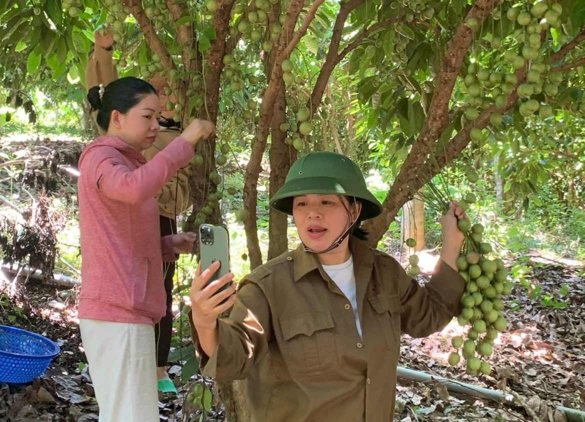 chuyen doi so giup nong san mien nui khanh hoa tiep can nhanh thi truong hinh anh 4