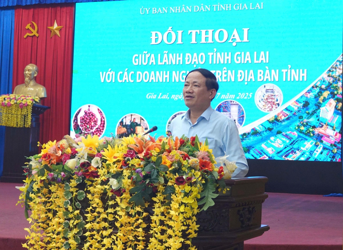 gia lai cam ket cai cach manh me va ho tro doanh nghiep hinh anh 1