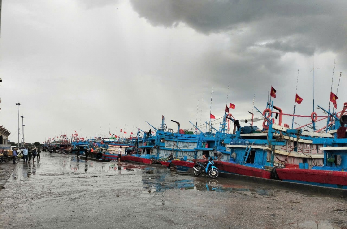 cập nhật bão số 3 Đảo bạch long vĩ tp hải phòng đang có gió giật cấp 9, mưa to, sóng lớn hình ảnh 61 cap nhat bao so 3 Dao bach long vi tp hai phong dang co gio giat cap 9, mua to, song lon hinh anh 61