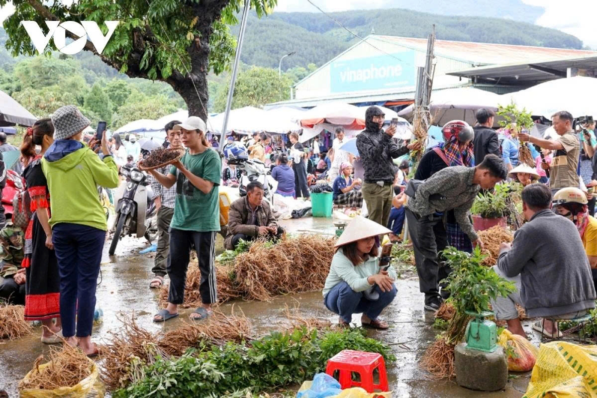 e-commerce bridges the gap as highland markets go digital picture 5
