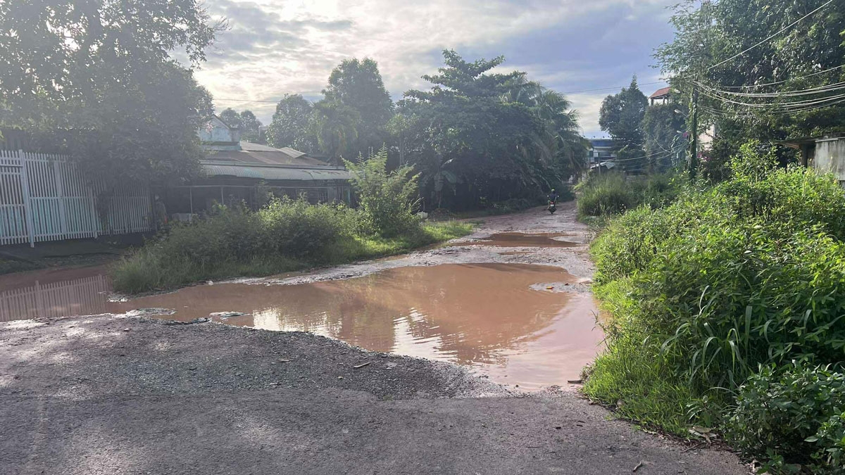 Quy hoạch treo 50 năm, nạn hàng giả làm “nóng” nghị trường TP.HCM