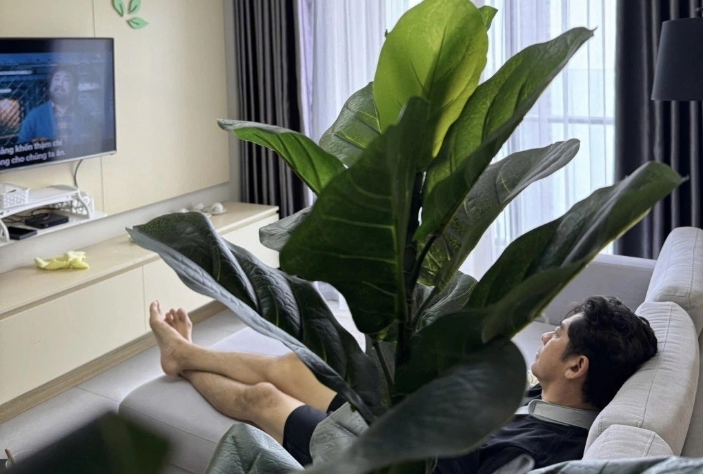 sao viet 24 7 ho quang hieu buc xuc khi bi don tham gia bua tiec ma tuy hinh anh 2