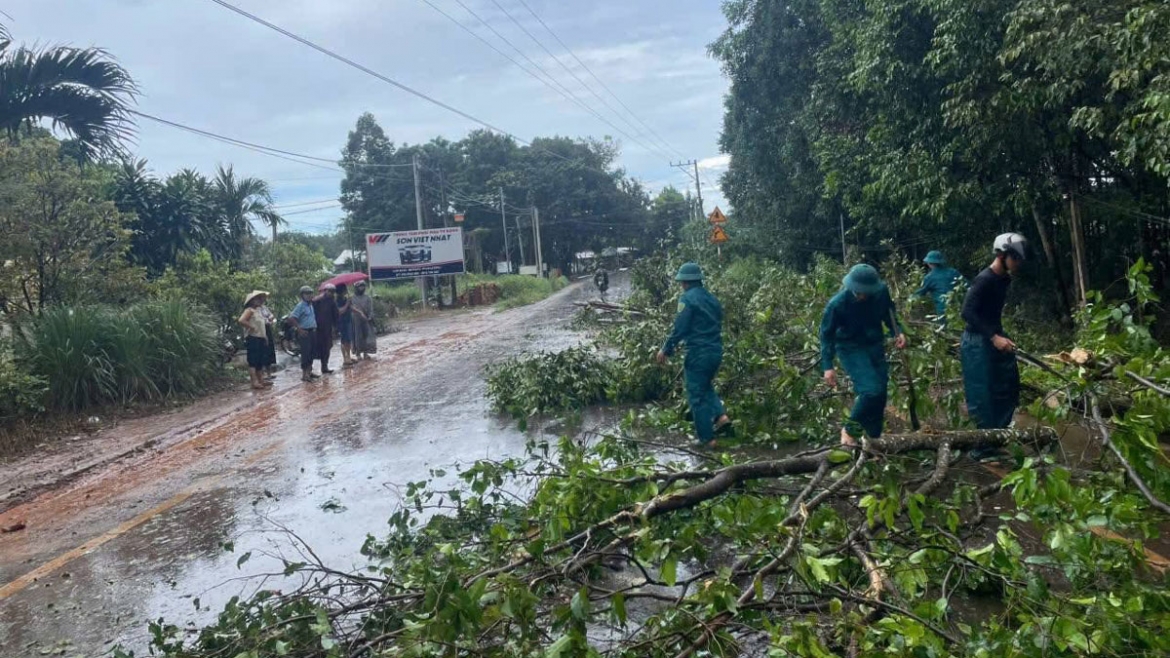 giong loc khien nha o Dong nai toc mai, cay do ngon ngang hinh anh 3