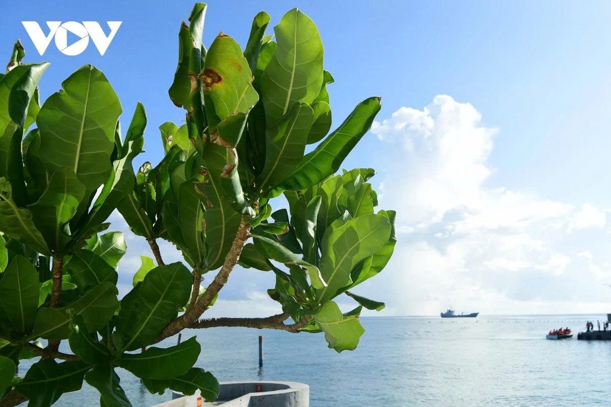 resilient vitality of emerged and submerged features in the spratly archipelago picture 7 resilient vitality of emerged and submerged features in the spratly archipelago picture 7