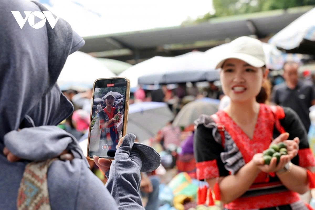 e-commerce bridges the gap as highland markets go digital picture 8