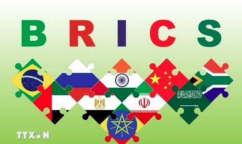 brics opens new doors for vietnam-south america cooperation picture 1